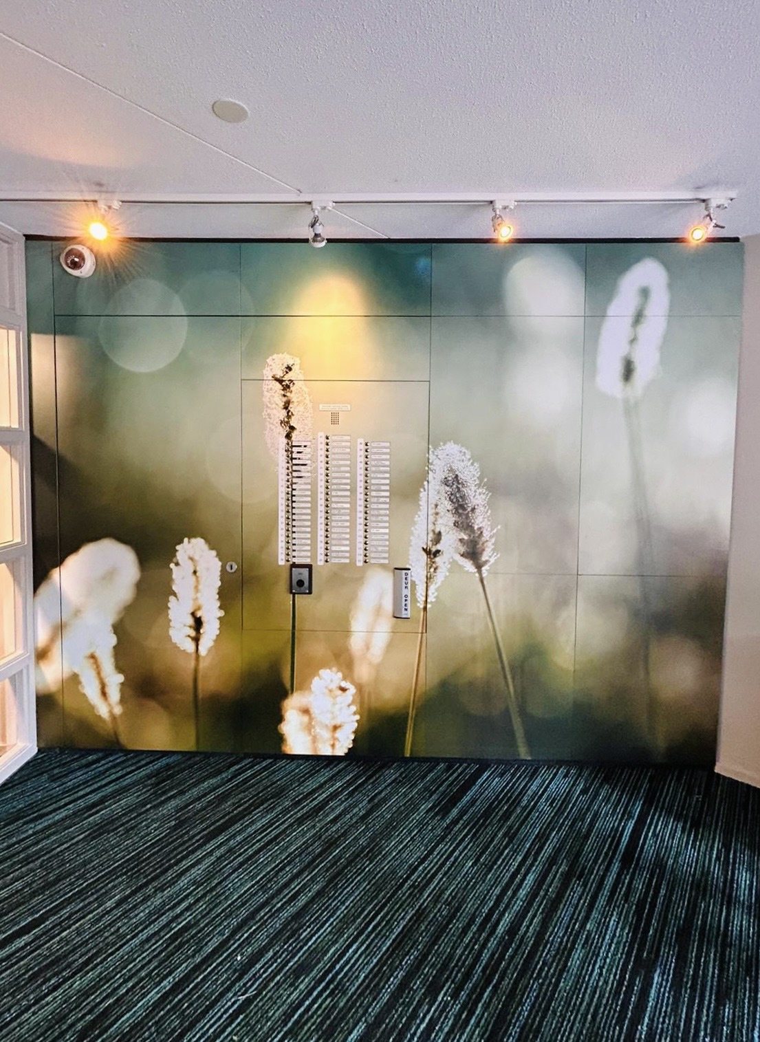 ab65cc13-1c1d-4844-9149-f352bc4a935f